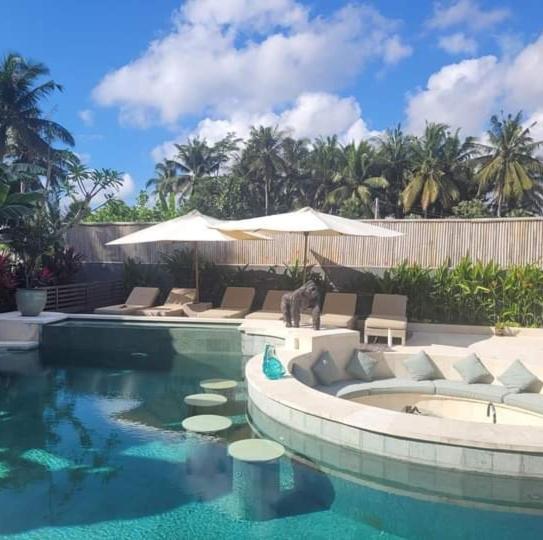 Mon Rêve Villa Ubud
