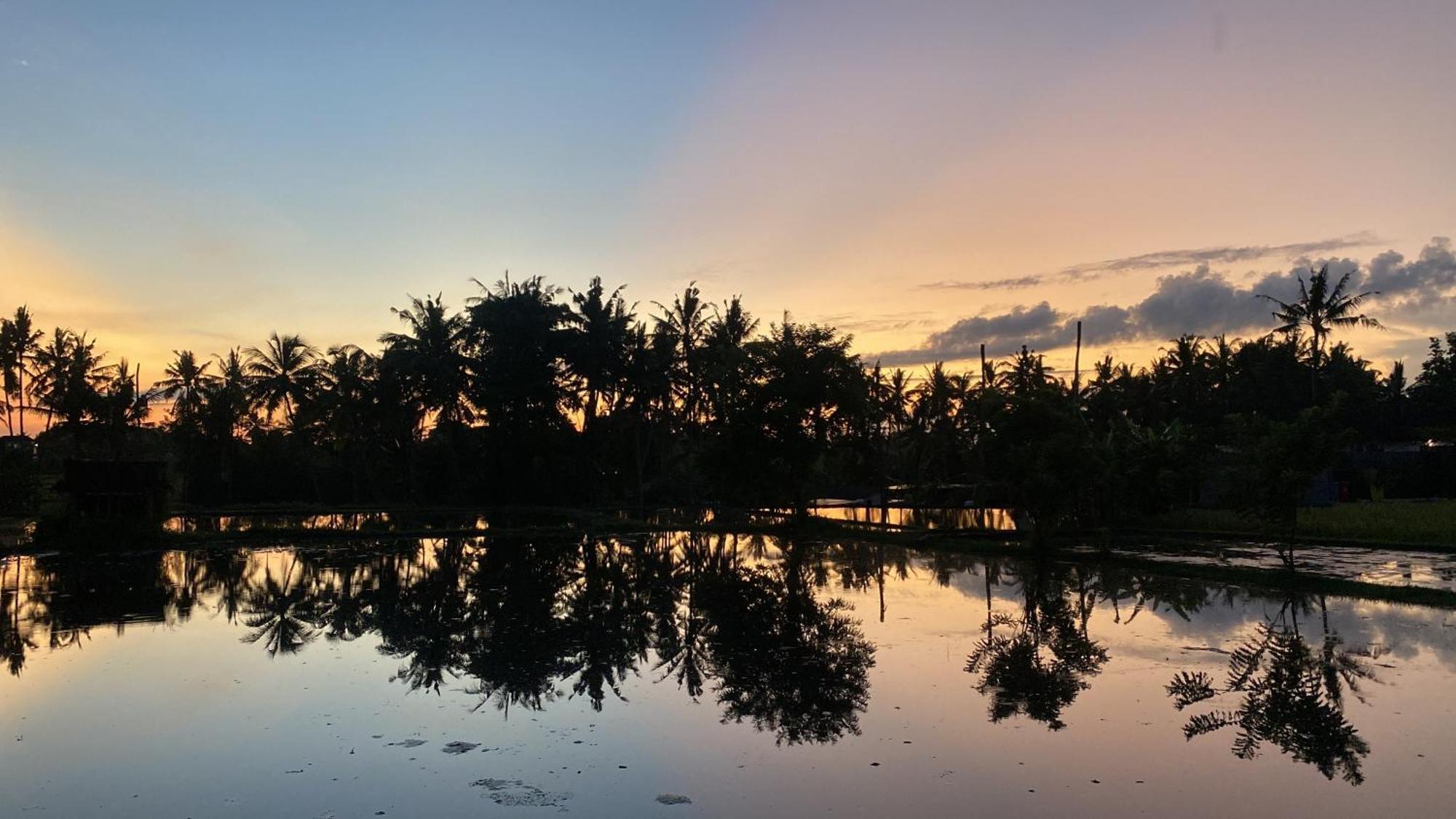Mon Rêve Villa Ubud